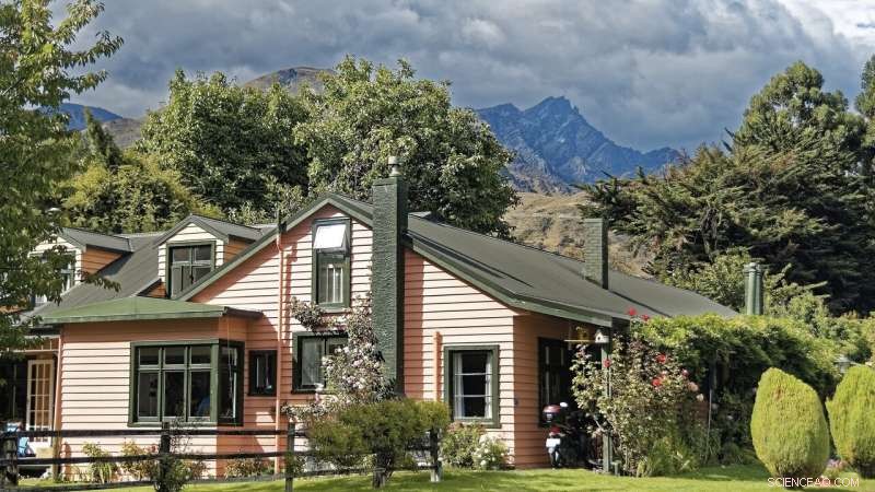 How Backyard Trees Keep Your Home Cool