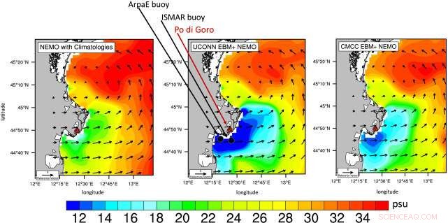 Rivers  Impact on Mediterranean Sea Dynamics: Unlocking Ocean Circulation Insights