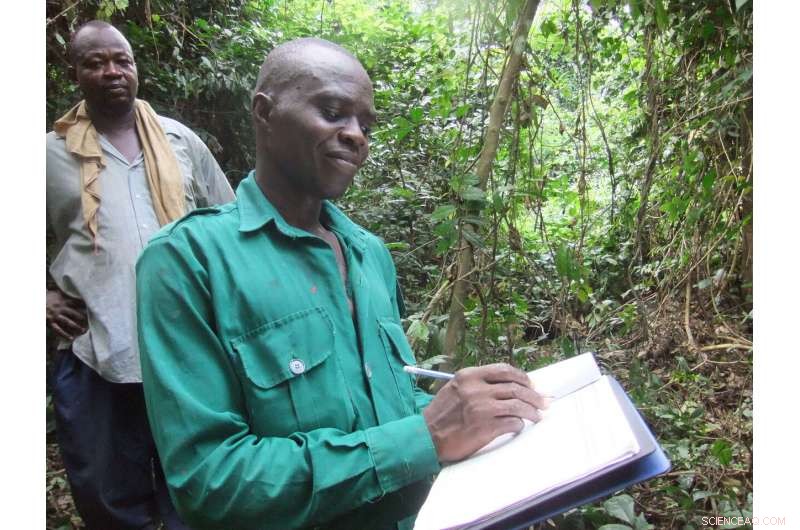 Tropical Forests  Carbon Sink Declines Rapidly, Study Finds