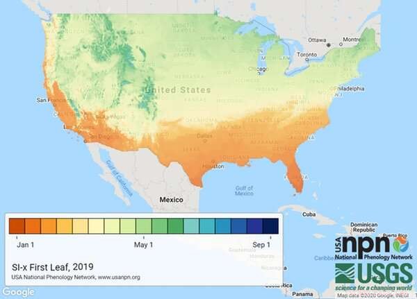 Early Spring Arrival Across the U.S. Signals Worsening Climate Trends