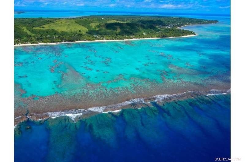 Assessing Coral Reef Health in the World’s Largest Marine Protected Area