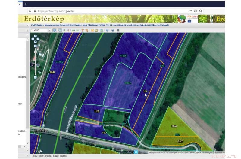 Protected Forest Along Hungary’s Tisza River Destroyed by Unlawful Clear‑Cutting