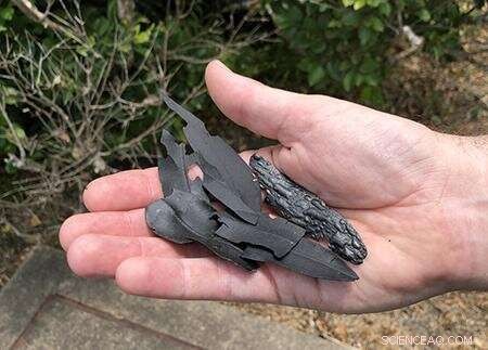 Bushfire Charcoal Travelled 50 km Across the Sutherland Shire, Revealing Environmental Impact