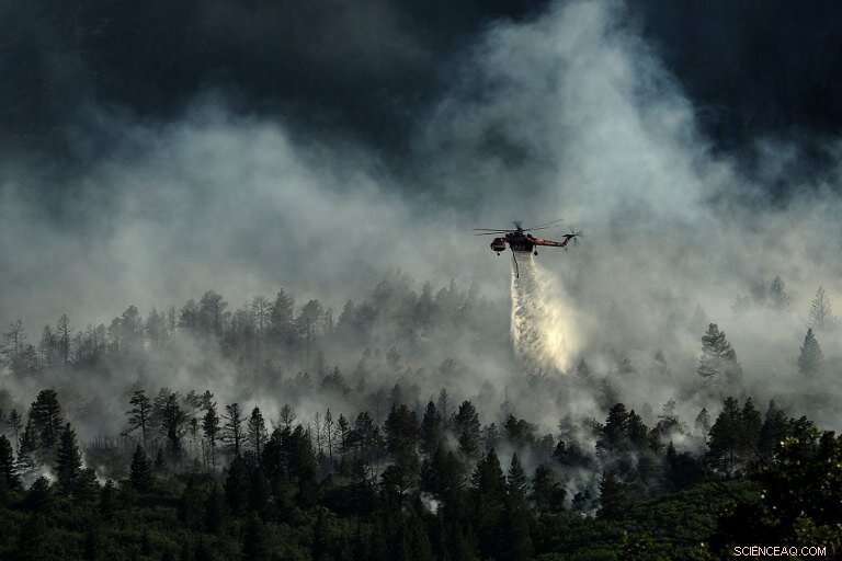 New Study Reveals How Wildfires Impact Public Health