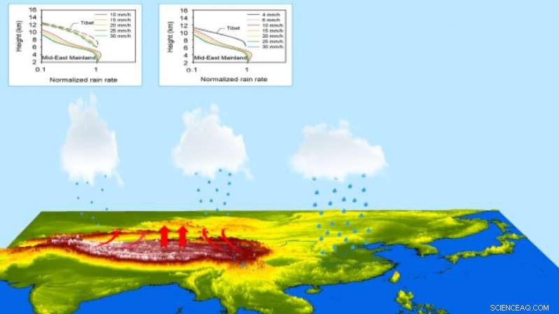 Land‑Atmosphere Feedbacks and Cloud‑Precipitation Dynamics in the Tibetan Plateau
