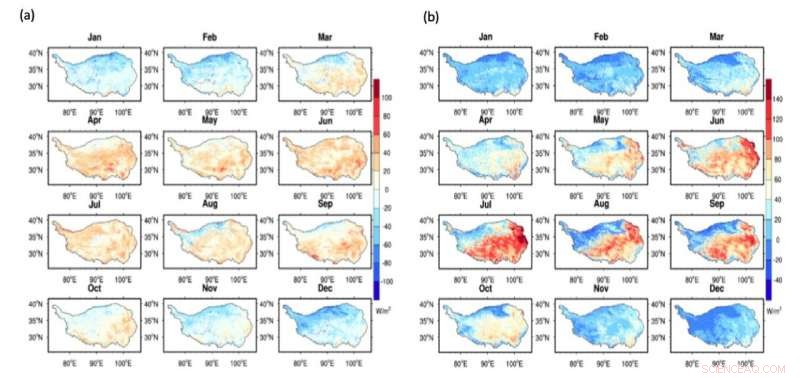 Land‑Atmosphere Feedbacks and Cloud‑Precipitation Dynamics in the Tibetan Plateau