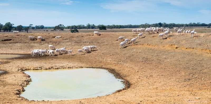 Rare Natural Phenomenon Intensifies Australia’s Drought as Climate Change Ramps Up