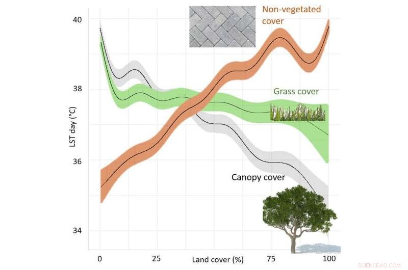 Urban Trees Can Reduce Extreme Heat by Up to 6°C – Proven Study