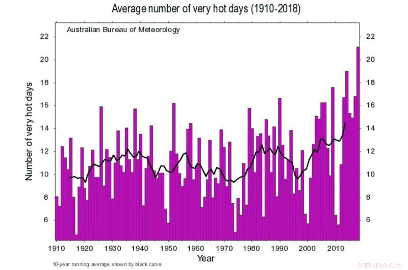 Urban Trees Can Reduce Extreme Heat by Up to 6°C – Proven Study