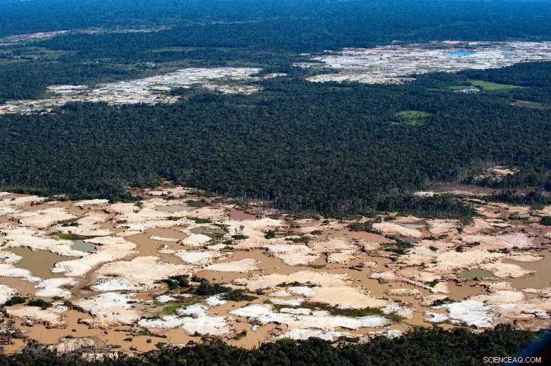 Amazon on Brink of Collapse: 50-Year Risk of Tipping Point