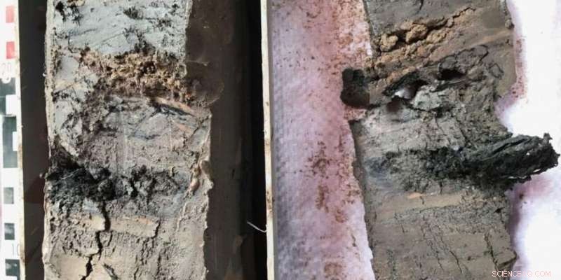 Bacteria Convert Underground Nutrients to Arsenic, Threatening Groundwater Quality