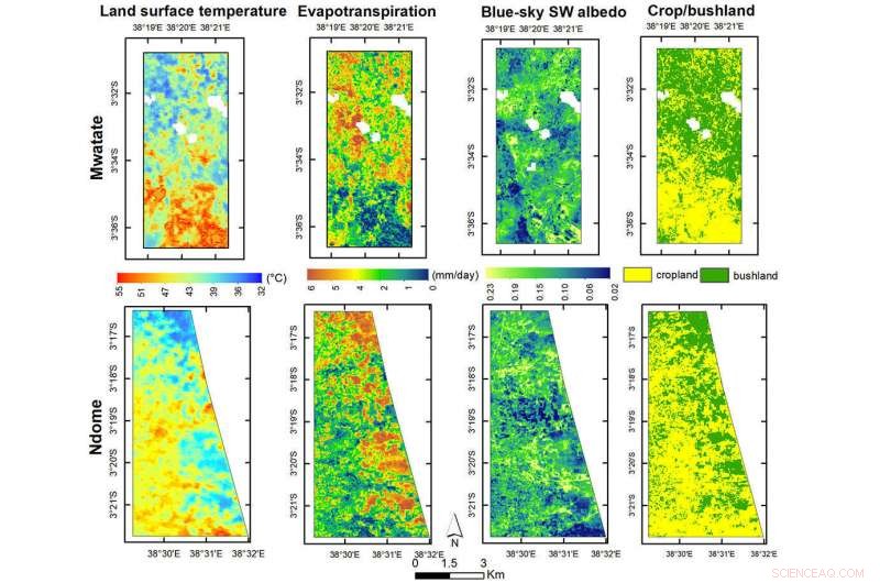 How Acacia Bushlands Mitigate Climate Warming in Eastern Africa