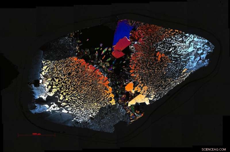 Deep-Sea Microbes Thrive on Recycling: How Life Persists Beneath the Ocean Floor