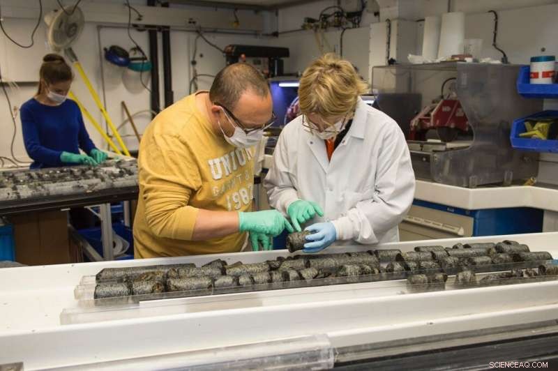 Deep-Sea Microbes Thrive on Recycling: How Life Persists Beneath the Ocean Floor