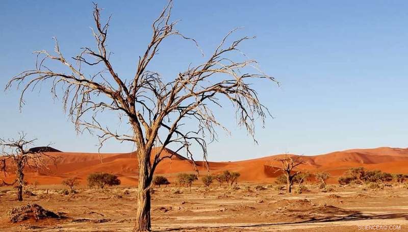 Urgent Climate Action Needed to Combat Extreme Weather