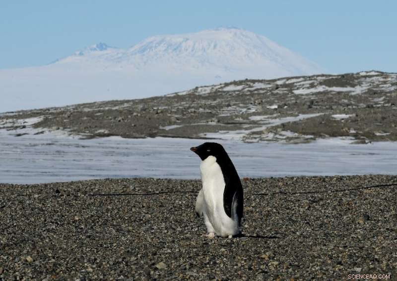 Six-Fold Surge in Polar Ice Loss Raises Global Sea Levels