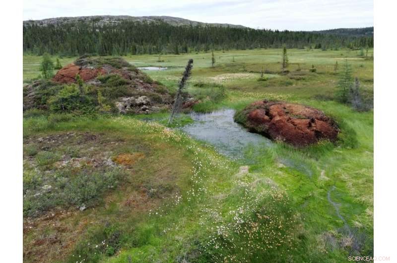 Innovative Method Quantifies Greenhouse Gas Emissions from Thawing Permafrost