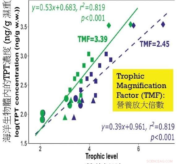 Researchers Detect Elevated Levels of Toxic Phenyltin Compounds in Chinese White Dolphins and Finless Porpoises