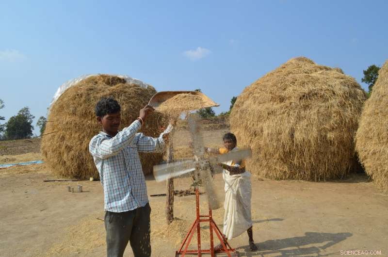 Study Finds Even a Limited India-Pakistan Nuclear Conflict Could Trigger Global Famine