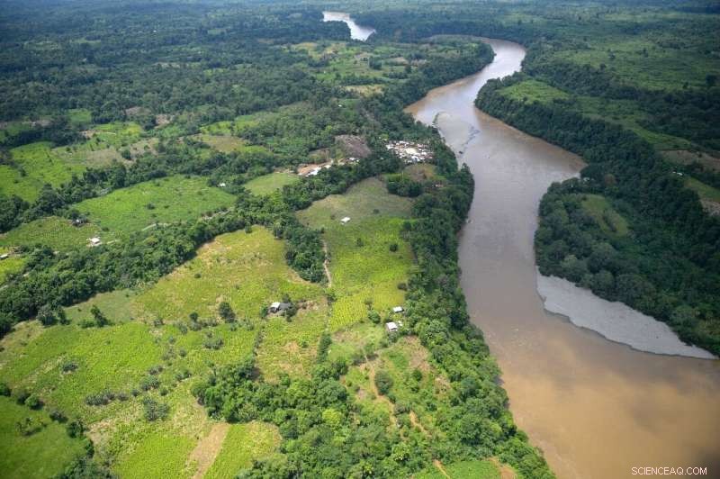 New Study Shows Restoring Soil Could Sequester Billions of Tonnes of Carbon