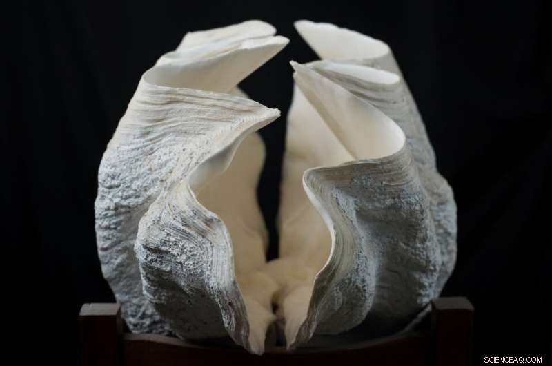 Giant Clam Shells: A Revolutionary Natural Archive for Paleoclimate Studies