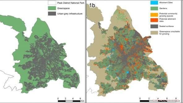 Urban Gardens Could Supply 15% of City Residents with Their Daily Fruit & Veg, Study Finds