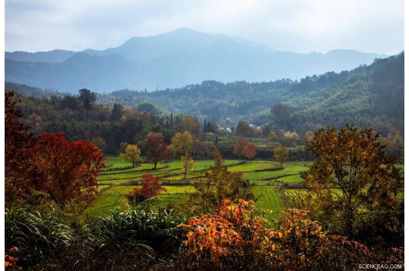 Nature‑Based Climate Solutions: 25% of the Answer Lies on Earth