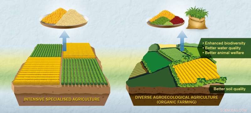 Researchers Call for Enhanced Comparison Standards in Organic vs Conventional Farming