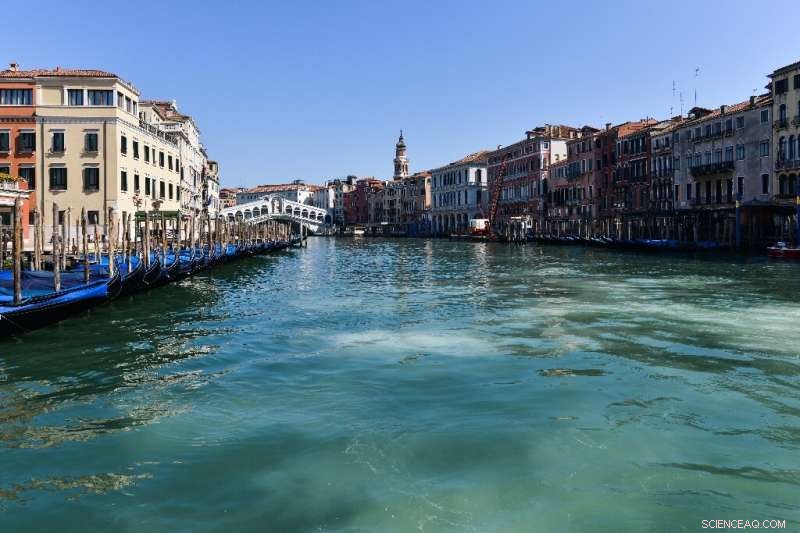 Venice Canals Go Crystal Clear as Tourist Rush Fades Amid Coronavirus Lockdown