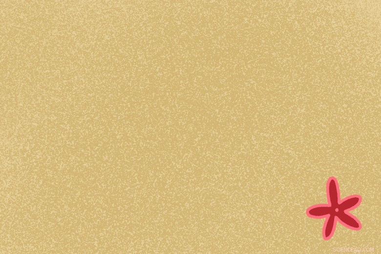 Consumers Demand Plastic, Yet Care About the Planet: Striking the Right Balance