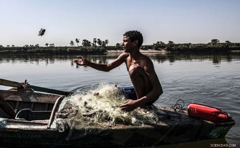 The Nile at Risk: Pollution, Climate Change, and an Emerging Mega‑Dam