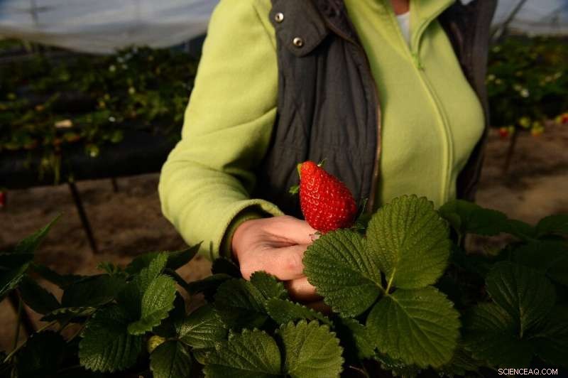 Water Theft Surge Threatens Spain’s Drought-Stricken Future
