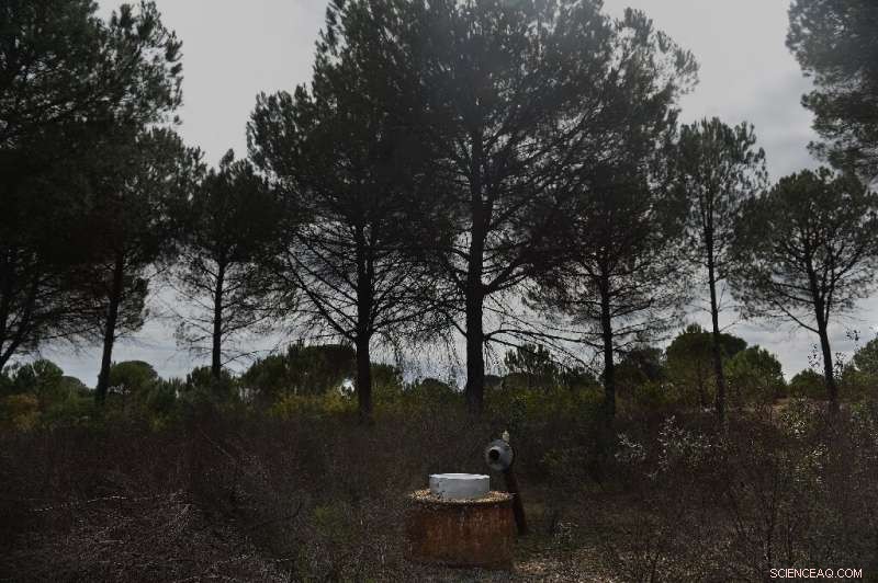 Water Theft Surge Threatens Spain’s Drought-Stricken Future