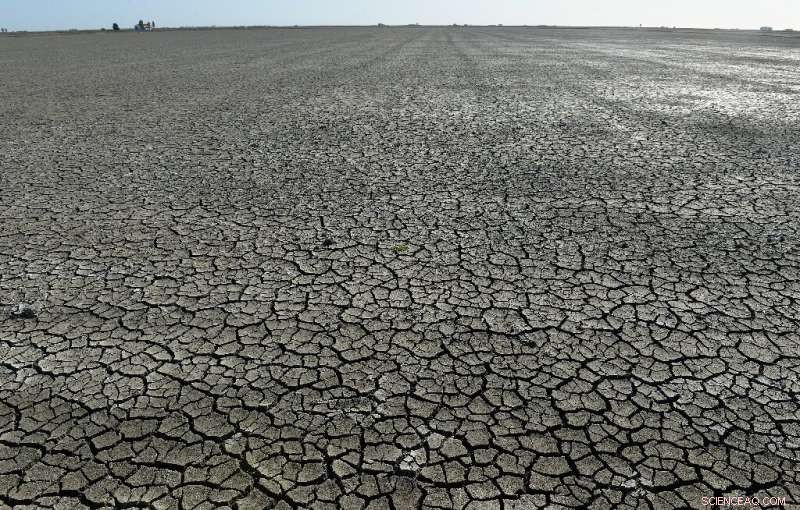 Water Theft Surge Threatens Spain’s Drought-Stricken Future