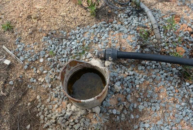 Water Theft Surge Threatens Spain’s Drought-Stricken Future