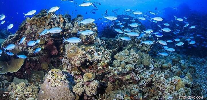 Robust Framework Enhances Future Ocean Research