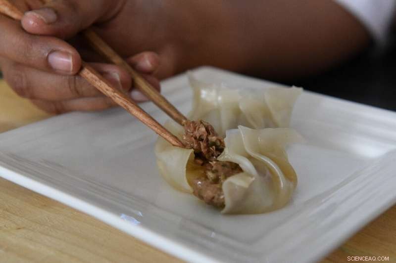 Asia Innovates Sustainable Meats: From Lab‑Grown Seafood to Fruit‑Based Dumplings