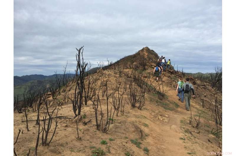 Positive Hiker Perceptions of Burned Landscapes: Insights from UC Davis Study