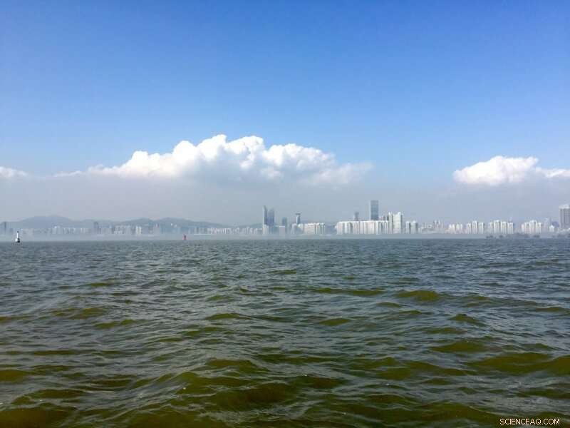 Reducing Human Emissions Enhances Water Quality in Coastal Seas