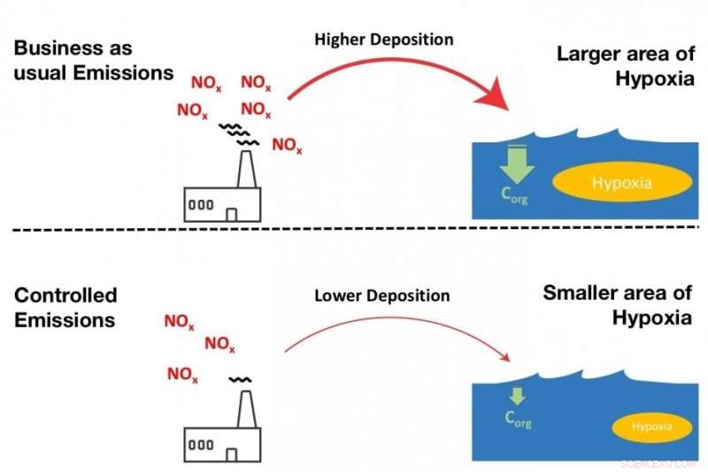Reducing Human Emissions Enhances Water Quality in Coastal Seas