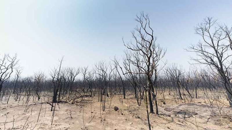 Annual Australian Environment Report Highlights Alarming Heat, Drought, and Bushfire Impact