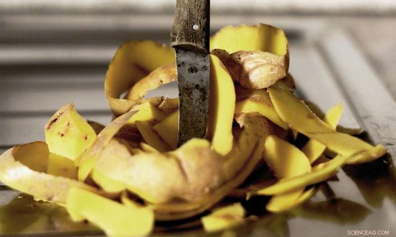 Reducing Food Waste: Consumers Must Stop Stockpiling