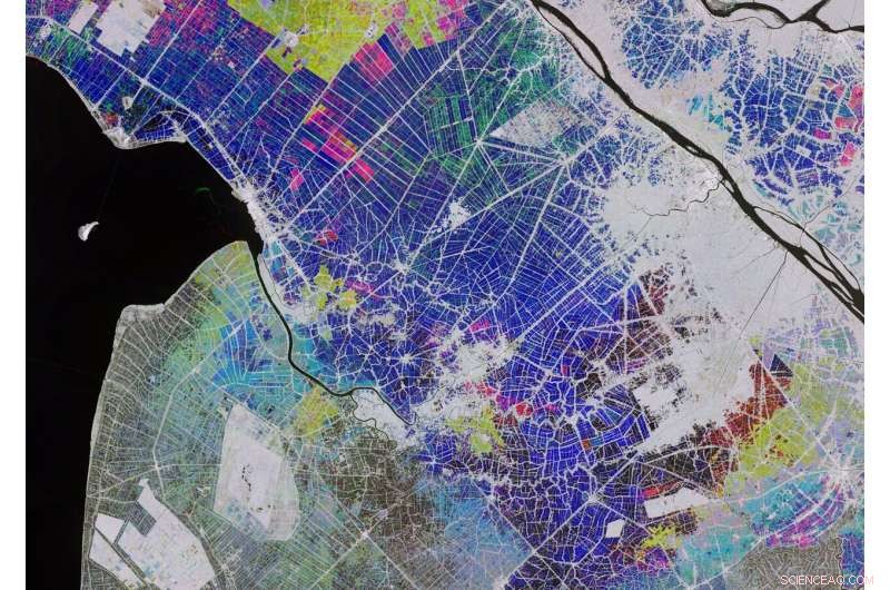 Satellite View of Vietnam s Mekong Delta Rice Fields