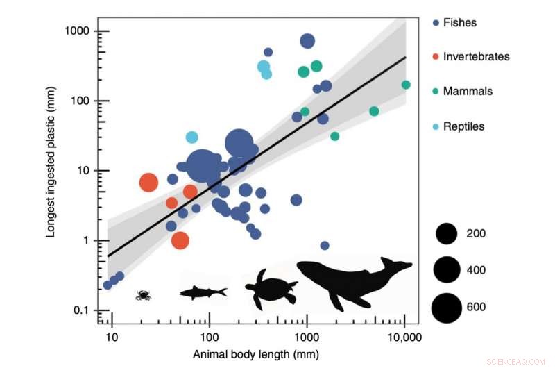 Cardiff University Scientists Predict Which Plastic Sizes Animals Can Ingest