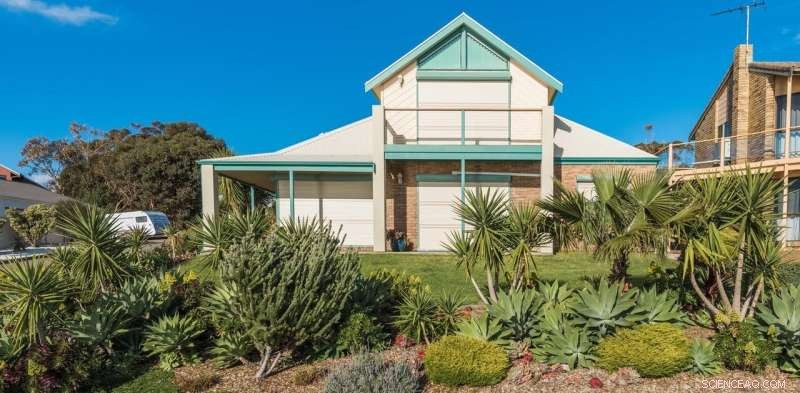 Protect Your Garden from Bushfires: Proven Tips to Preserve Leafy Greens Safely