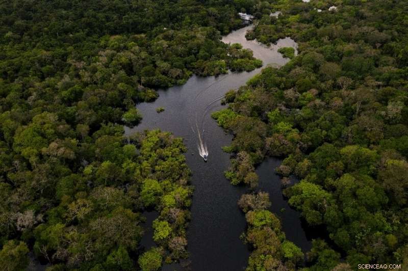 Young Brazilians Championing Amazon Conservation