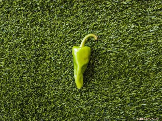 COVID‑19: A Wake‑Up Call About Our Environmental Destruction