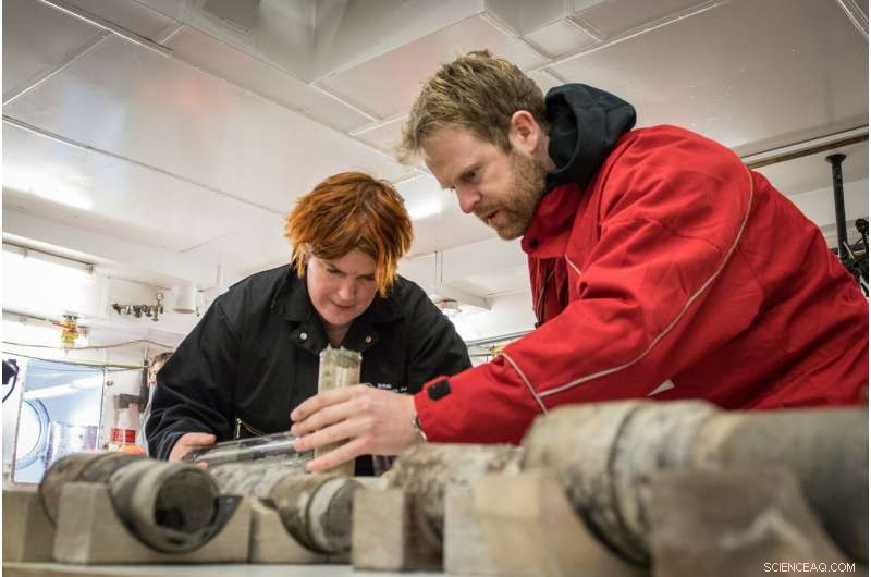 Ancient Antarctic Rainforest Evidence Reveals a Prehistoric Warm Climate