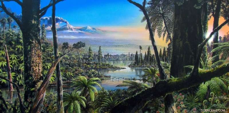 Ancient Antarctic Rainforest Evidence Reveals a Prehistoric Warm Climate