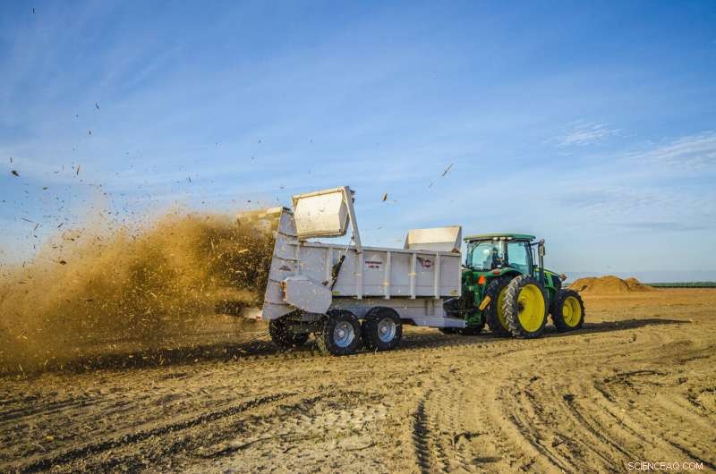 California Almond Orchards Embrace Climate‑Smart Recycling to Boost Yield and Sequester Carbon